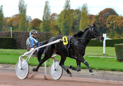 MB Avenches 171021 102 Canone