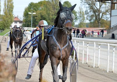 MB Avenches 171021 111 Global Spotify