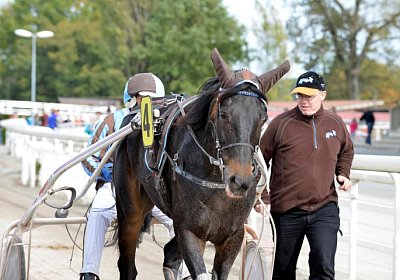 MB Avenches 171021 112 Canone