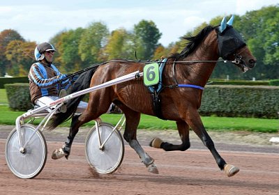 MB Avenches 171021 126 Fernando Mat