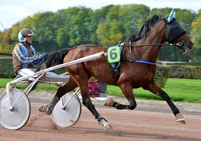 MB Avenches 171021 127 Fernando Mat