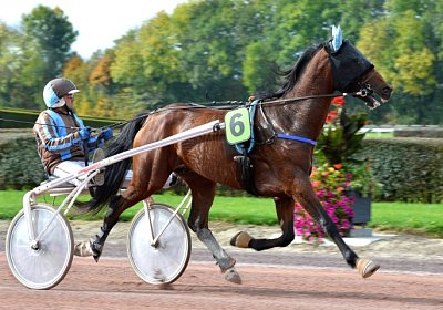 MB Avenches 171021 134 Fernando Mat