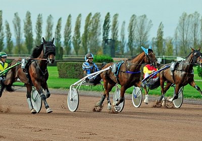 uw 01 01 elkador de romane etc