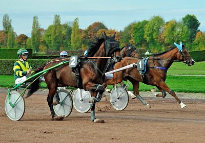 uw 01 02 elkador de romane etc