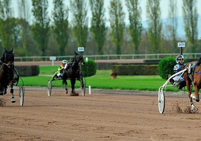 uw 01 03 elkador de romane etc