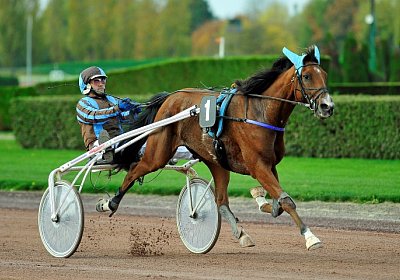 uw 01 04 elkador de romane