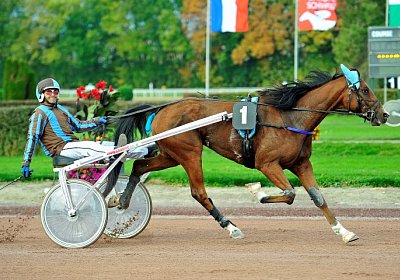 uw 01 05 elkador de romane