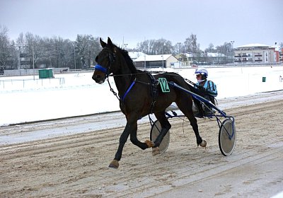 DSC00626 Theodor