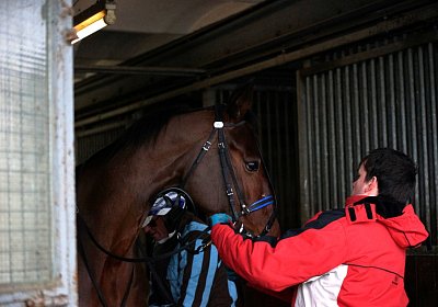 DSC00655 Top