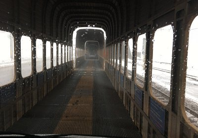 2018 02 16 Jungle Trip StMoritz IMG 6777