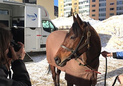 2018 02 16 Jungle Trip StMoritz IMG 6809