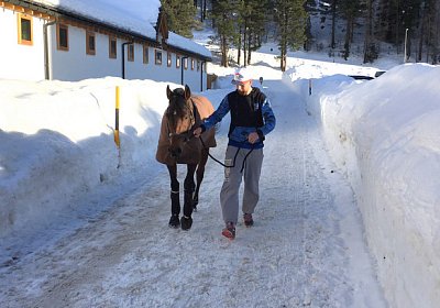 2018 02 16 Jungle Trip StMoritz IMG 6822