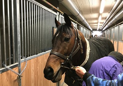 2018 02 16 Jungle Trip StMoritz IMG 6829