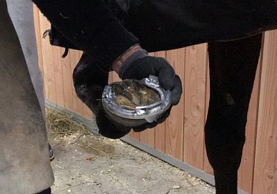 2018 02 16 Jungle Trip StMoritz IMG 6837