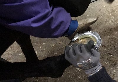 2018 02 16 Jungle Trip StMoritz IMG 6847