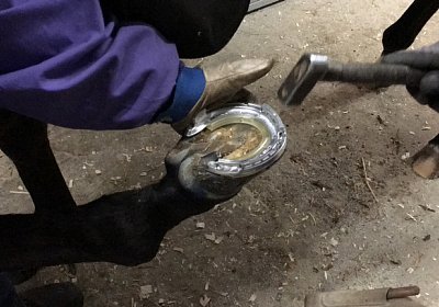 2018 02 16 Jungle Trip StMoritz IMG 6848