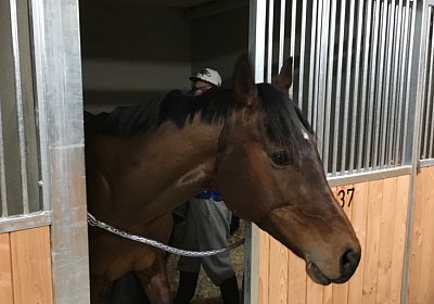 2018 02 16 Jungle Trip StMoritz IMG 6867