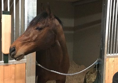 2018 02 16 Jungle Trip StMoritz IMG 6868