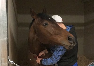 2018 02 16 Jungle Trip StMoritz IMG 6883