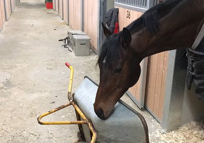 2018 02 16 Jungle Trip StMoritz IMG 6885