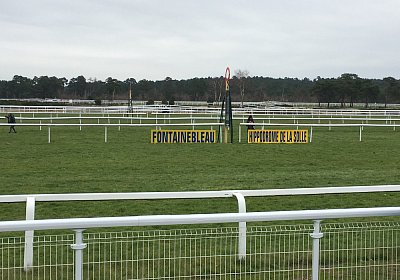 2018 03 22 Jungle Fontainebleau A IMG 8267