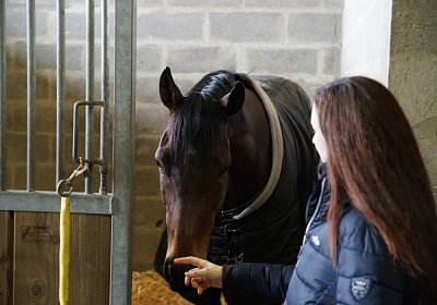 2018 03 22 Jungle Fontainebleau DSC07183