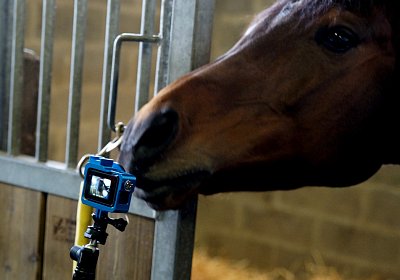 2018 03 22 Jungle Fontainebleau DSC07187