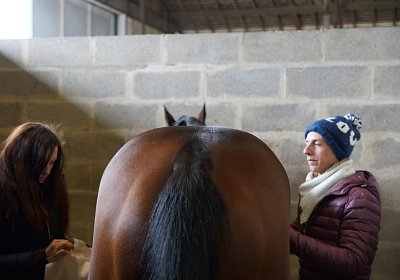 2018 03 22 Jungle Fontainebleau DSC07220