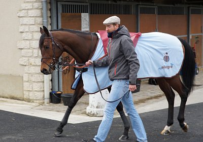 2018 03 22 Jungle Fontainebleau DSC07240