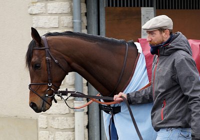 2018 03 22 Jungle Fontainebleau DSC07241