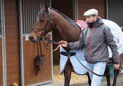 2018 03 22 Jungle Fontainebleau DSC07245