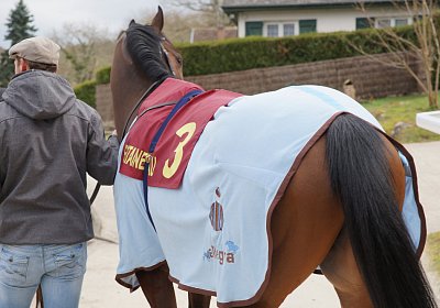 2018 03 22 Jungle Fontainebleau DSC07250