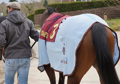 2018 03 22 Jungle Fontainebleau DSC07251