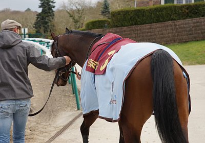 2018 03 22 Jungle Fontainebleau DSC07252