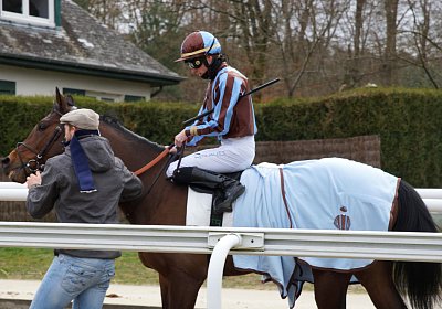 2018 03 22 Jungle Fontainebleau DSC07258