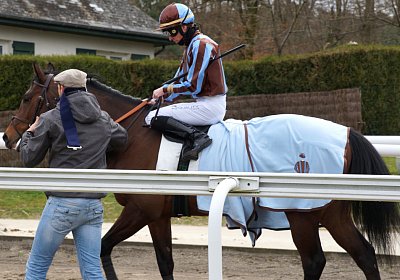 2018 03 22 Jungle Fontainebleau DSC07259