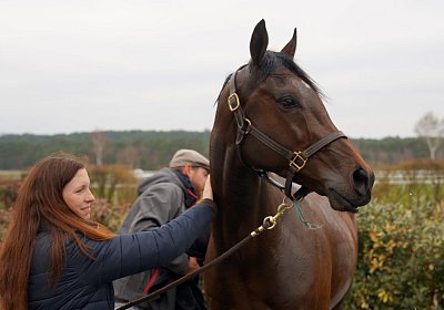 2018 03 22 Jungle Fontainebleau DSC07306