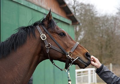 2018 03 22 Jungle Fontainebleau DSC07315