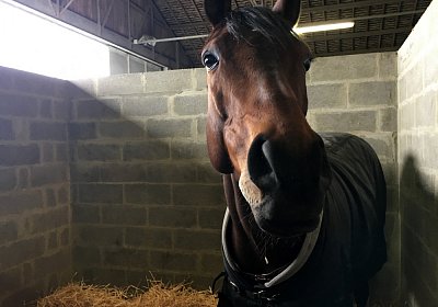 2018 03 22 Jungle Fontainebleau IMG 8271