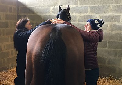 2018 03 22 Jungle Fontainebleau IMG 8273