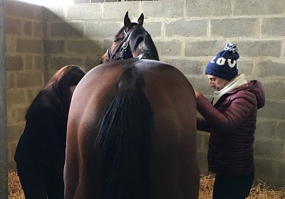 2018 03 22 Jungle Fontainebleau IMG 8274