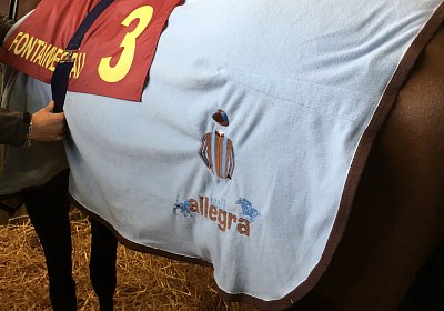 2018 03 22 Jungle Fontainebleau IMG 8280