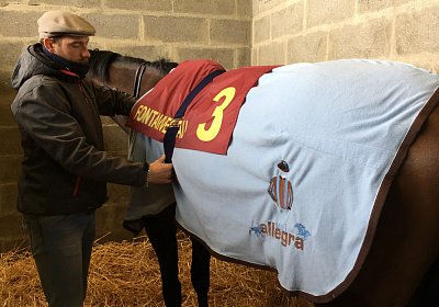 2018 03 22 Jungle Fontainebleau IMG 8281