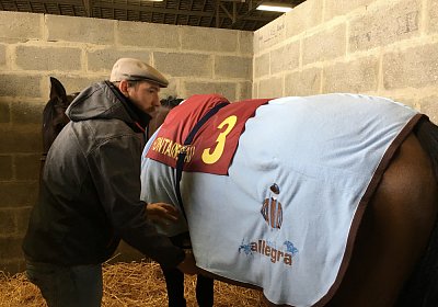 2018 03 22 Jungle Fontainebleau IMG 8289 Jungle Decke