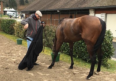 2018 03 22 Jungle Fontainebleau IMG 8294