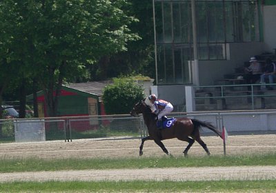 Heat Top Winner S3080027