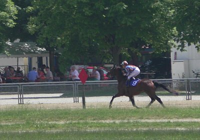 Heat Top Winner S3080028