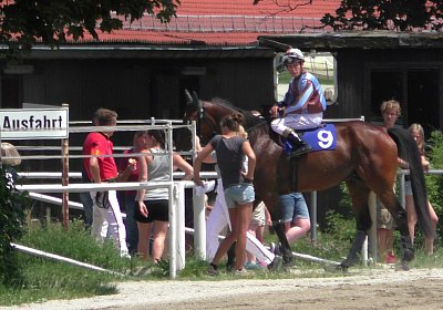 Heat Top Winner S3080030