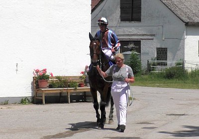 Heat Top Winner S3080031