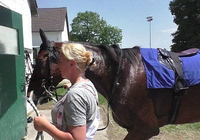 Heat Top Winner S3080033